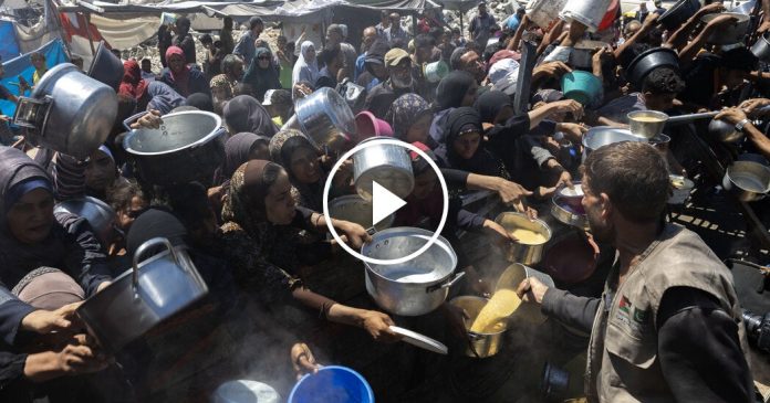 gaza’s-hunger-crisis:-‘if-we-don’t-fight,-we-don’t-get-anything.’